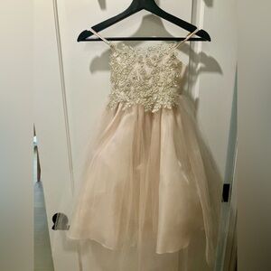 Formal Champagne Dress